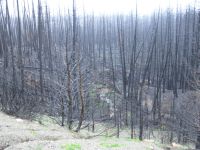 Fire zone near St. Marys